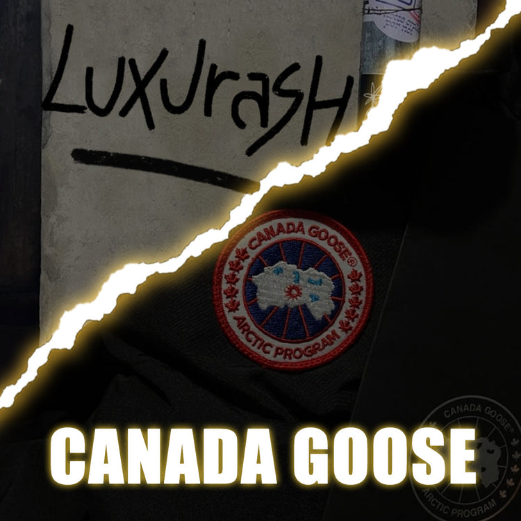 Canada Goose